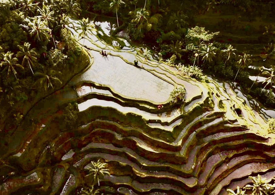 Ubud: All-Inclusive Tour With Optional Lunch - Accessibility Considerations