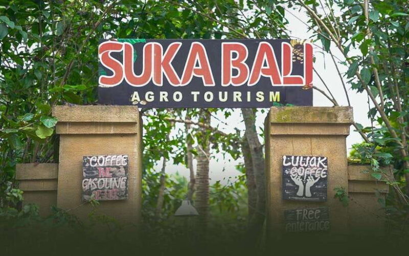Ubud: Art, Culture, Nature, and Heritage Tour - Coffee and Culture at the Luwak Coffee Plantation