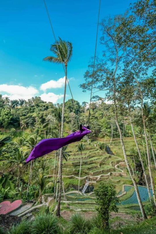 UBUD: atr village, waterfaall, tirta empul, and swing - Key Points