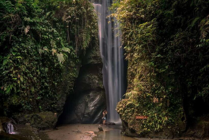 UBUD: atr village, waterfaall, tirta empul, and swing - An In-Depth Look at the Ubud Tour Experience