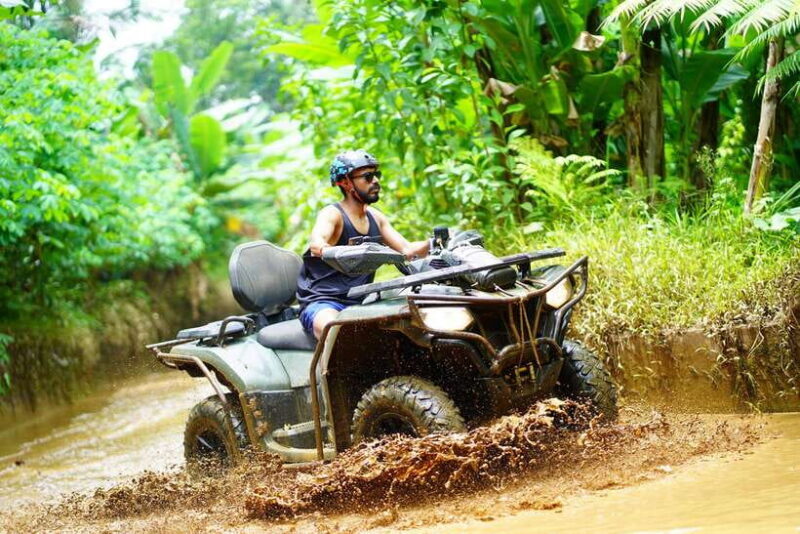 Ubud: ATV Quad Bike Ride Adventure Bali with ubud jungle - What to Expect on the Ubud Quad Bike Tour