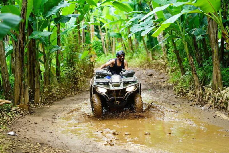 Ubud: ATV Quad Bike Ride Adventure Bali with ubud jungle - Analyzing the Value