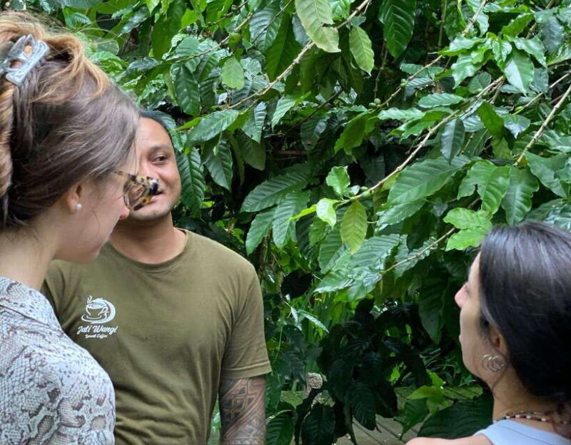 Ubud: ATV Quad Bike Ride Adventure Bali with ubud jungle - Practical Details