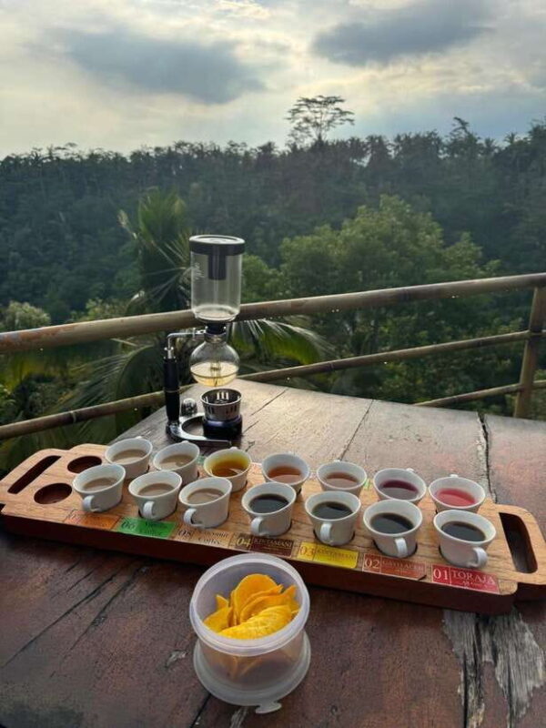 Ubud: ATV Ride, Holy water Temple, and Coffee Tasting - An Authentic Adventure in Ubud’s Natural and Cultural Landscape