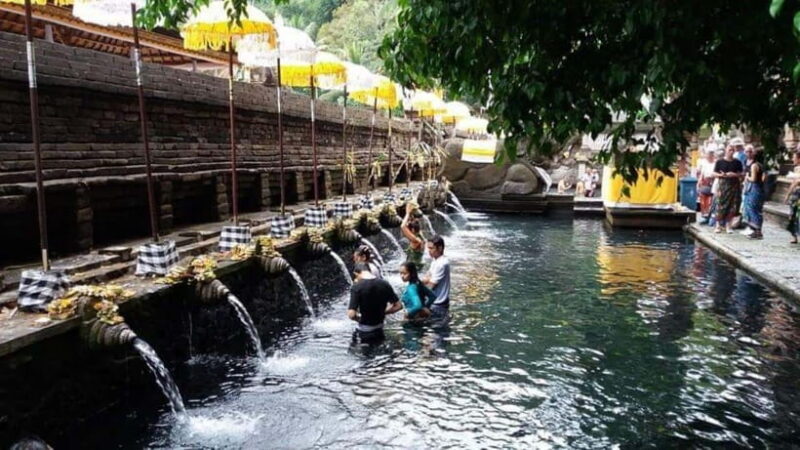 Ubud: ATV Ride, Holy water Temple, and Coffee Tasting - Who Will Love This Tour?