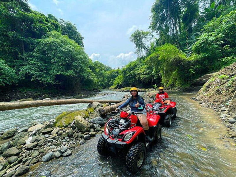 Ubud: Atv Ride In Jungle, Cave, Waterfall With Free Shuttle - Authenticity, Value, and Who Will Love This Tour