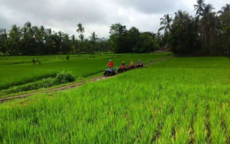 Ubud: ATV Ride, Monkey Forest, and Tegalalang Rice Terrace - FAQ