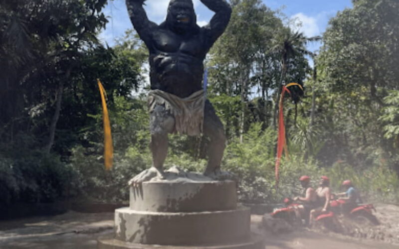 Ubud: ATV Ride with Optional Hotel Transfers - Logistics and Practical Tips