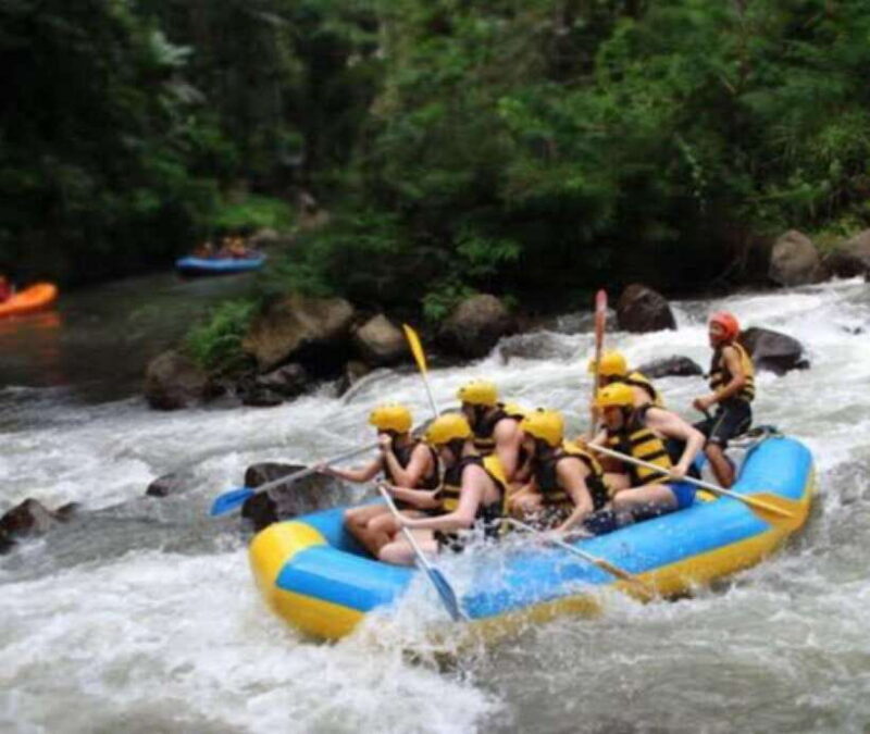 Ubud: Ayung River Rafting Adventure Lunch - The Experience: An In-Depth Look at Bali’s Ayung River Rafting  