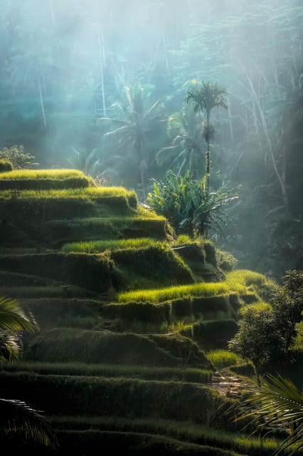 Ubud Bali: Cultural Escape,Art ,Nature,and Tradition in Ubud - Frequently Asked Questions