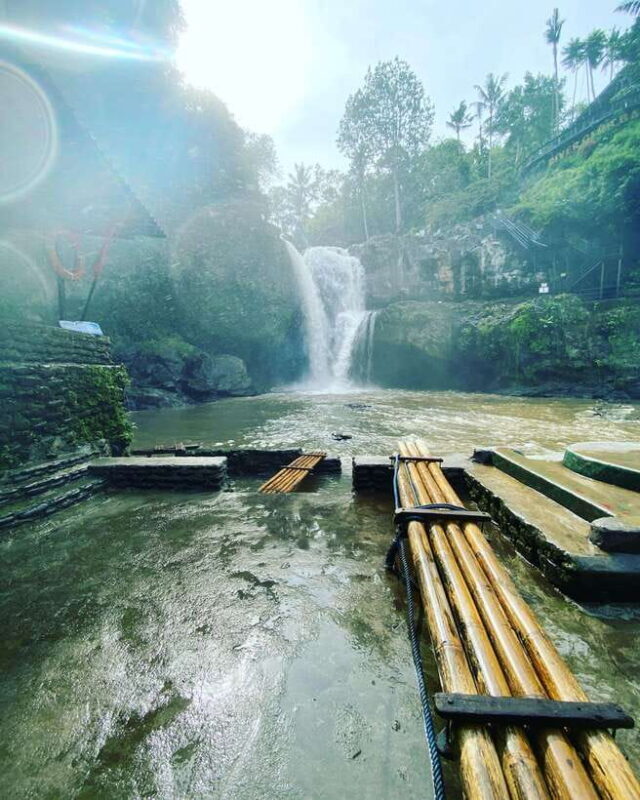 Ubud Bali: Half Day Tours - The Tour Experience in Detail