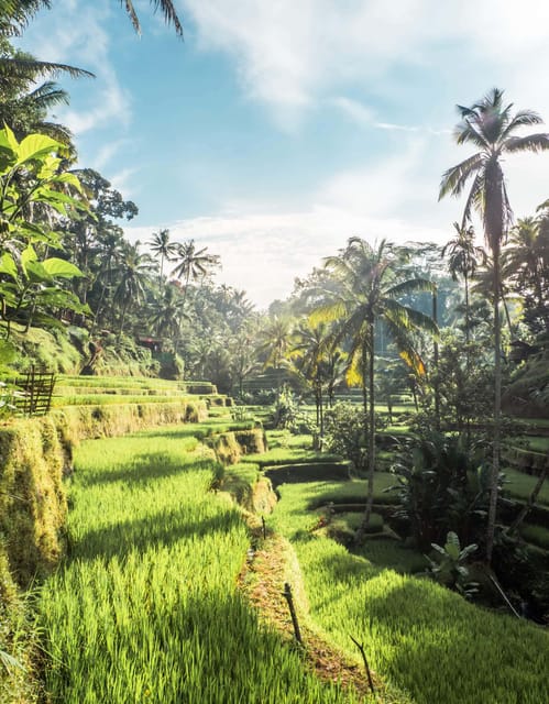Ubud Bali: Melukat Purification Ritual and Tegalalang Field. - Good To Know