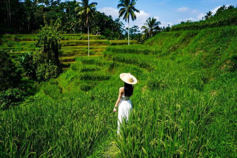 Ubud: Bali Swing hidden waterfall with personal photographer - Key Points