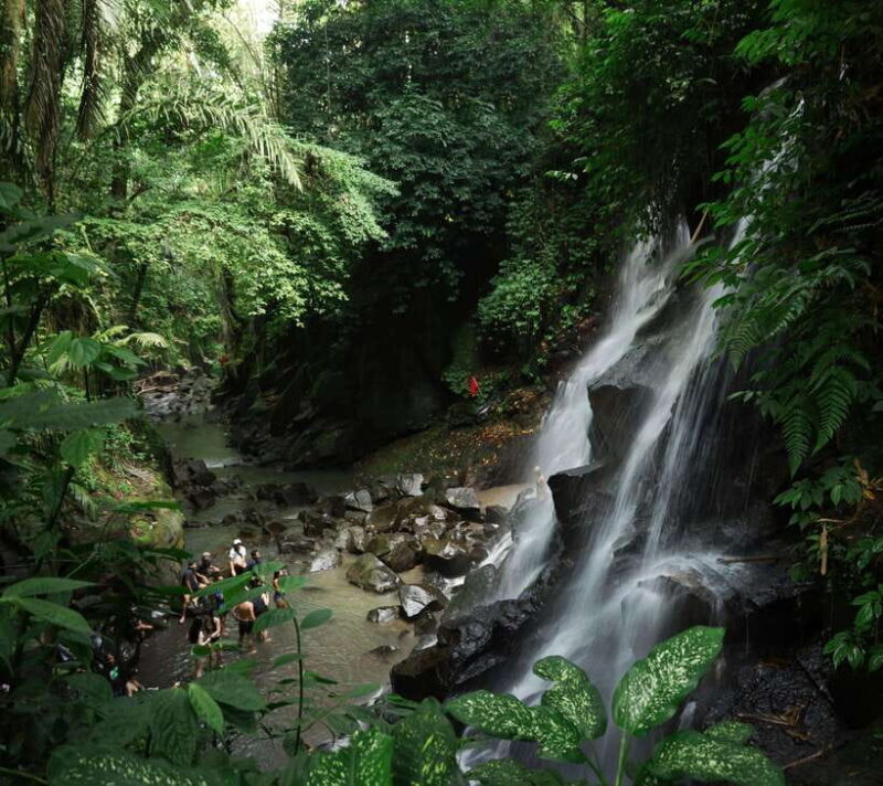 Ubud: Bali Swing hidden waterfall with personal photographer - Who Should Consider This Tour?
