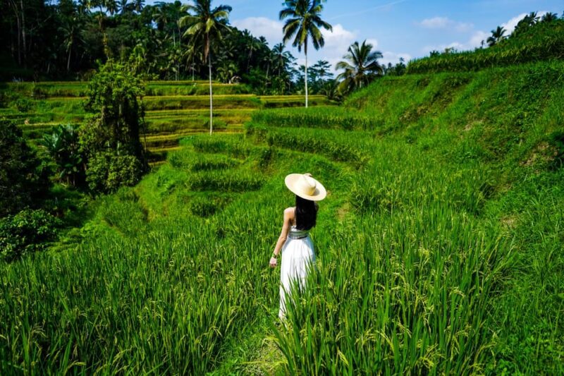 Ubud: Bali Swing Hidden Waterfall With Personal Photographer - Inclusions and Additional Information