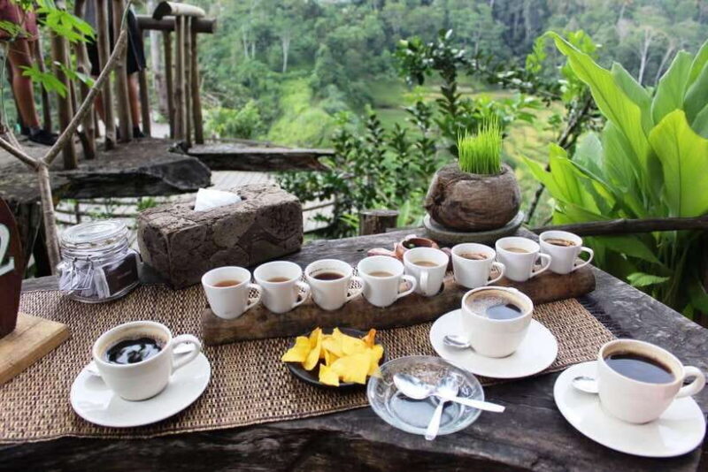 Ubud Bali Tour - Key Points