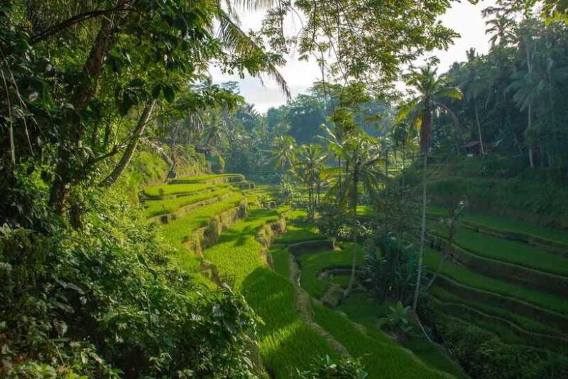 Ubud Bali Tour - FAQs