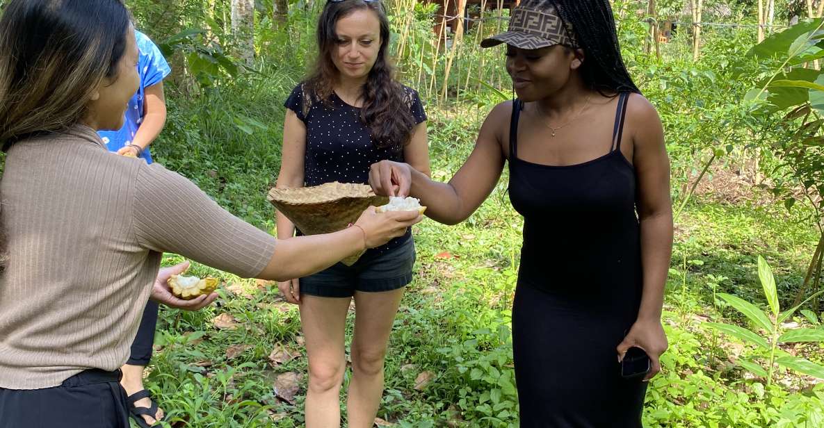 Ubud: Balinese Cooking Class at an Organic Farm - Local Market Tour