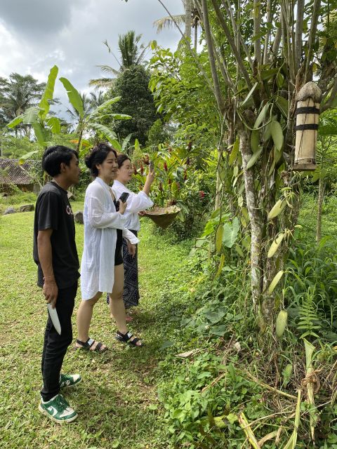 Ubud: Balinese Cooking Class at an Organic Farm - Frequently Asked Questions