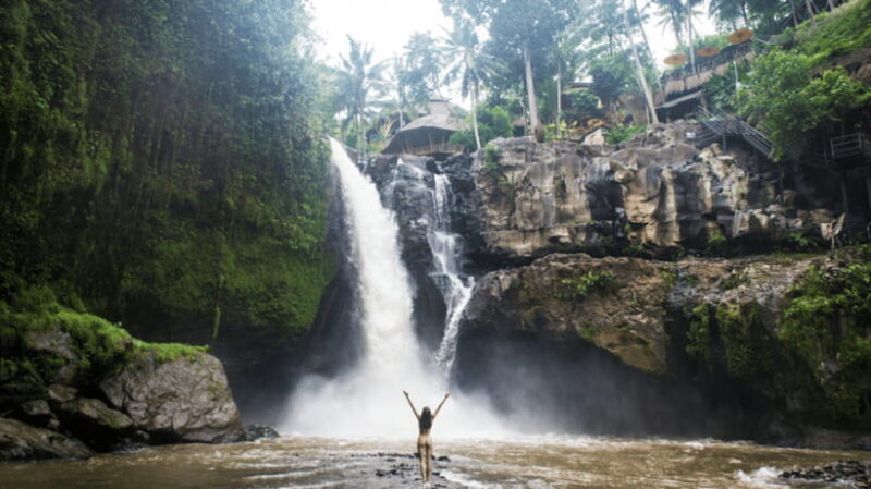 Ubud: Balinese Culture and Nature Private Full-day Tour - What the Tour Entails