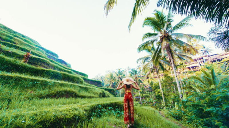 Ubud: Balinese Culture and Nature Private Full-day Tour - Real Traveler Feedback
