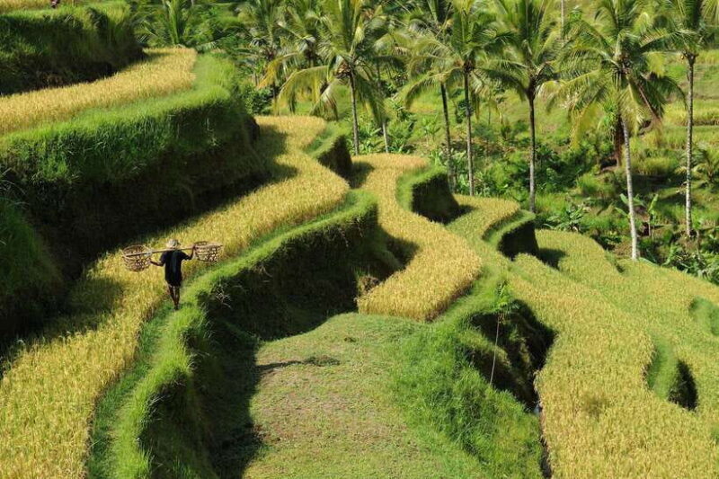 Ubud: Bali's 3 Epic Waterfall, Rice Terrace, and Temple Tour - Final Thoughts