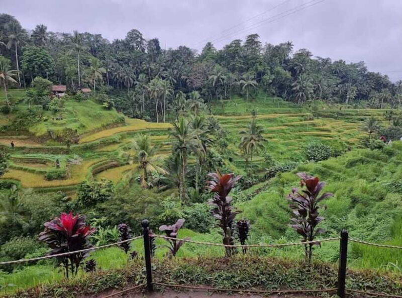 Ubud : Barong Dance, Temple, Rice Terrace & Waterfall - Who Is This Tour Best For?