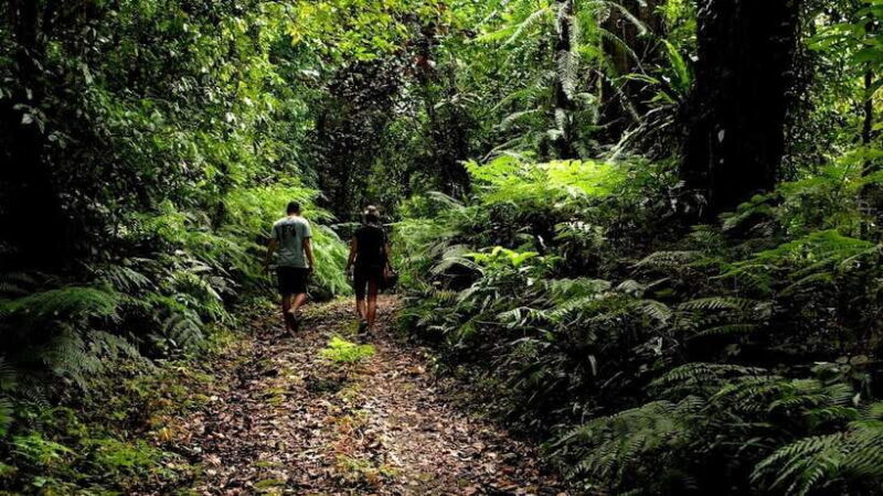 Ubud: Bayad Village, Waterfall and Cave Trek Adventure - Key Points