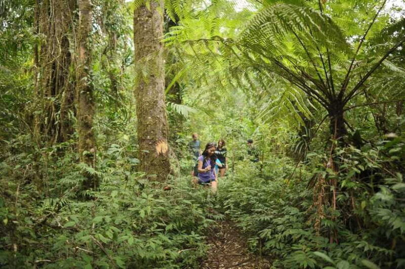 Ubud: Bayad Village, Waterfall and Cave Trek Adventure - The Sum Up