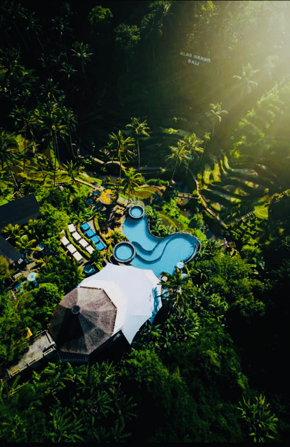 Ubud: Best Cretya Day Club In Ubud & Waterfalls Private Tour - Good To Know
