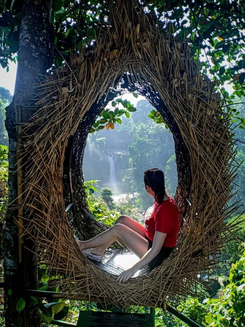 Ubud : Best Day Ubud Trip Must Visited - Itinerary and Highlights