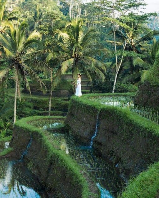 Ubud : Best Day Ubud Trip Must Visited - Important Information and What to Bring