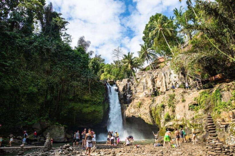Ubud: Best of Ubud Full-Day Tour with Entry Tickets - Key Points