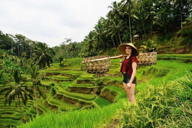 Ubud: Best of Ubud Full-Day Tour with Entry Tickets - FAQ