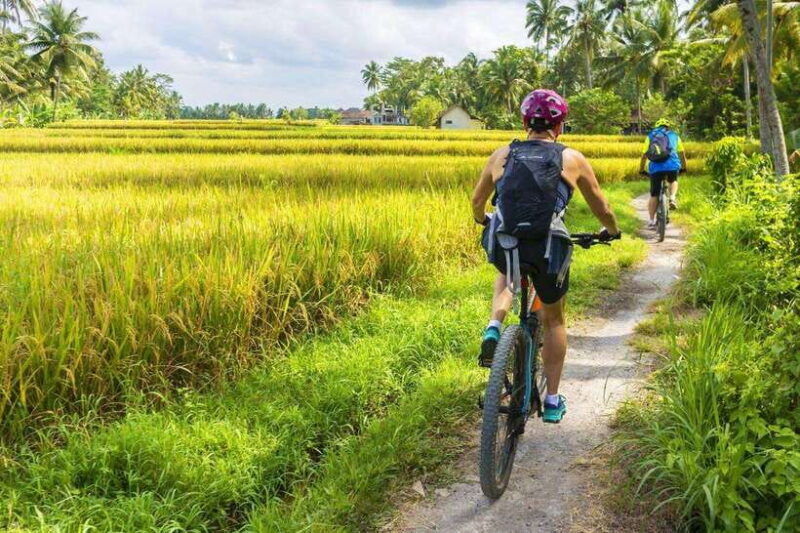Ubud Bike Tour: Ride to Bali's Holy Water Temple - Key Points