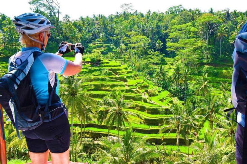 Ubud Bike Tour: Ride to Bali's Holy Water Temple - An In-Depth Look at the Ubud Bike Tour