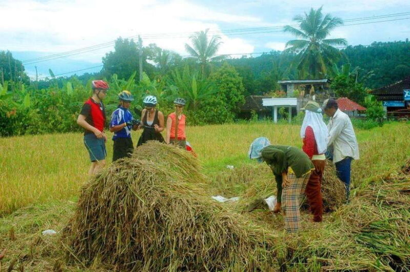Ubud Bike Tour: Ride to Bali's Holy Water Temple - Authentic Experiences: What Travelers Say