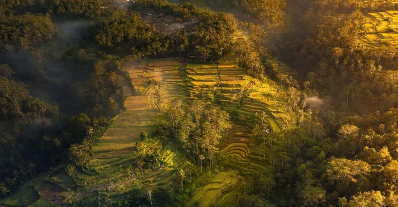 Ubud Bliss Tour - Rice Terrace, Monkey Forest, Infinity Pool - Good To Know