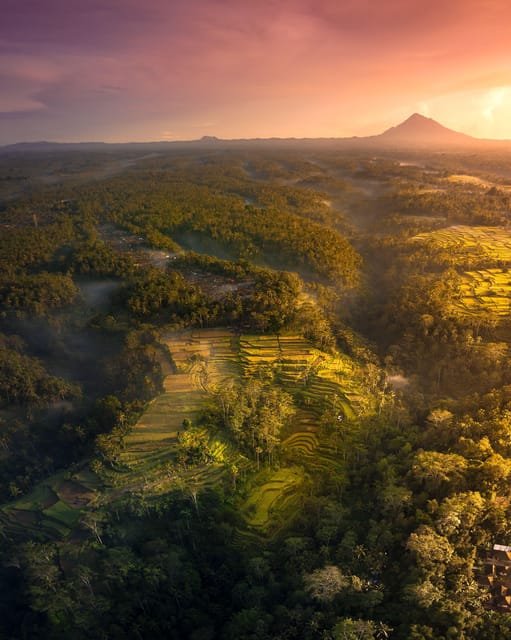 Ubud Bliss Tour - Rice Terrace, Monkey Forest, Infinity Pool - Pickup Information