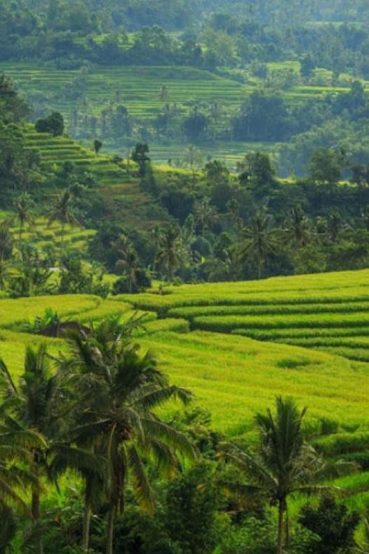 Ubud Bliss Tour - Rice Terrace, Monkey Forest, Infinity Pool - What to Bring