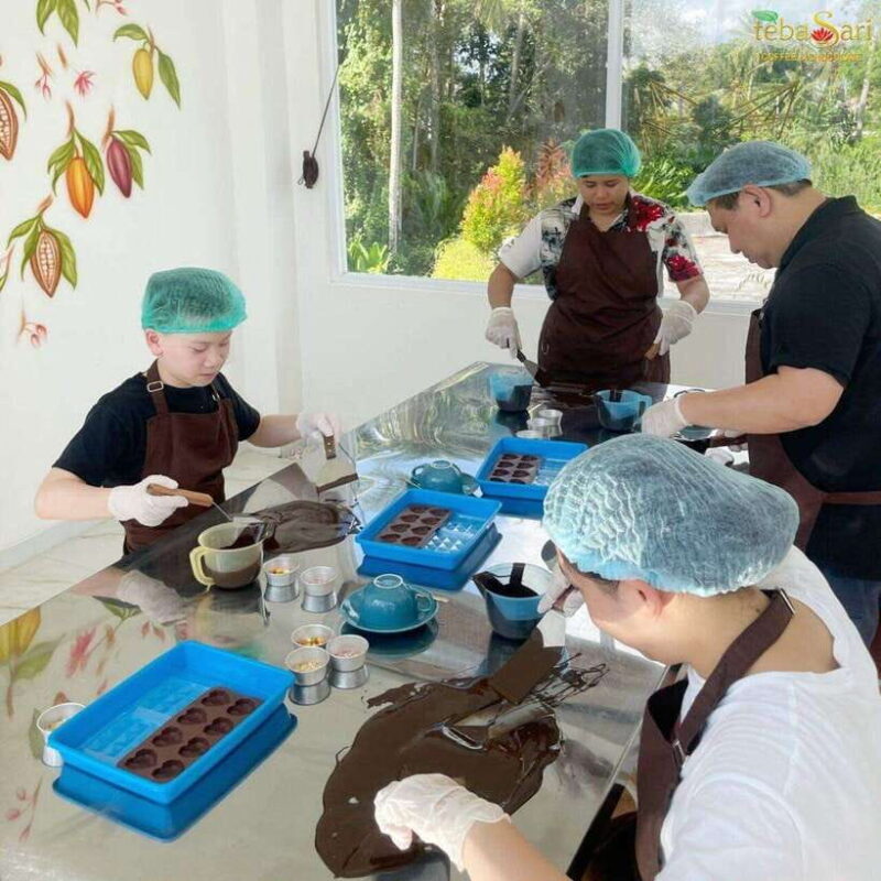 Ubud: Cacao Plantation Tour w/ Chocolate Workshop & Tasting - Who Should Consider This Tour?