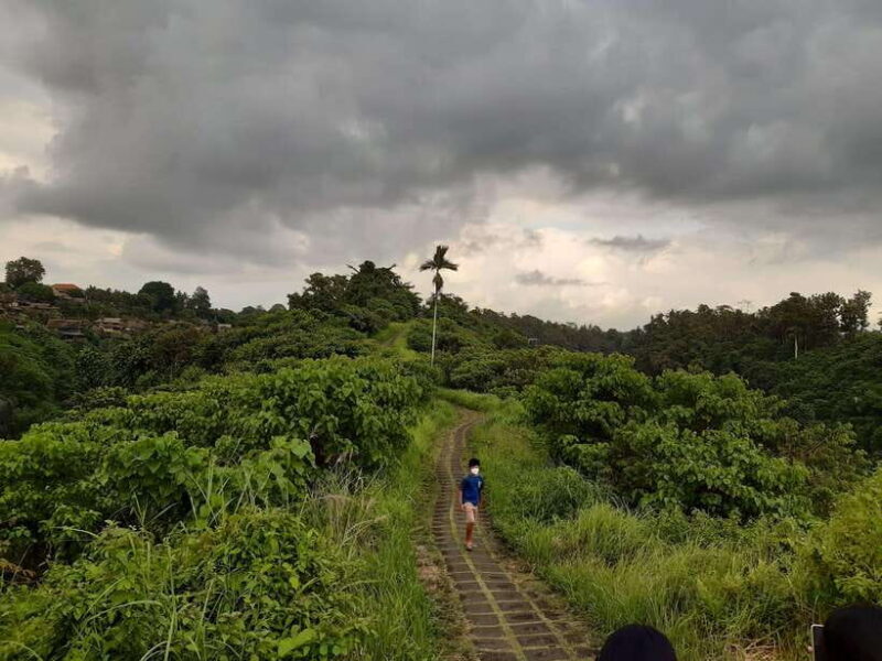 Ubud: Campuhan Ridge Walk, Tegallalang Rice Terrace & More - Key Points