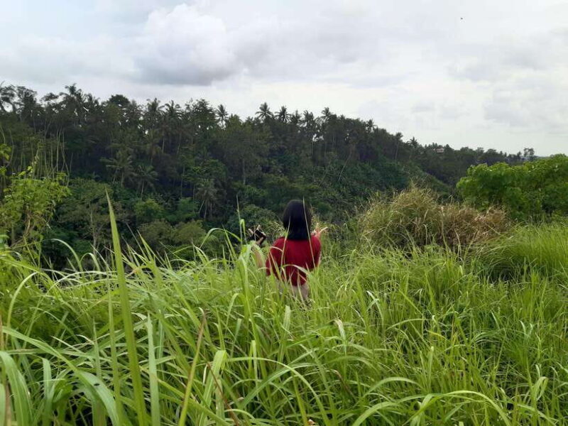 Ubud: Campuhan Ridge Walk, Tegallalang Rice Terrace & More - A Full Breakdown: What to Expect