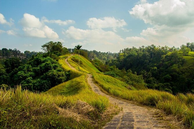 Ubud Countryside Tour: Campuhan Ridge Walk and Rice Terrace - Campuhan Ridge Walk Experience