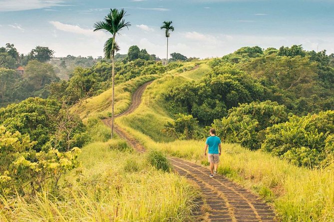 Ubud Countryside Tour: Campuhan Ridge Walk and Rice Terrace - Tegenungan Waterfall Exploration