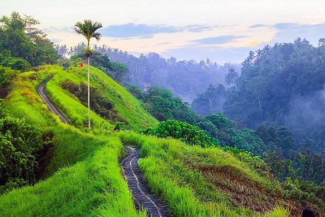 Ubud Countryside Tour: Campuhan Ridge Walk and Rice Terrace - Tour Inclusions and Exclusions