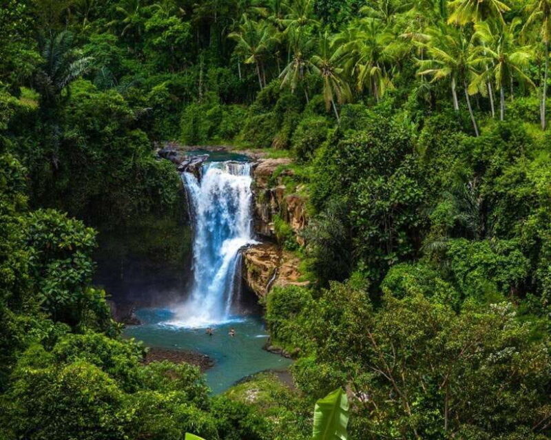 Ubud: Customised Bali Ubud Tour With Transfer - Itinerary Breakdown – What to Expect at Each Stop