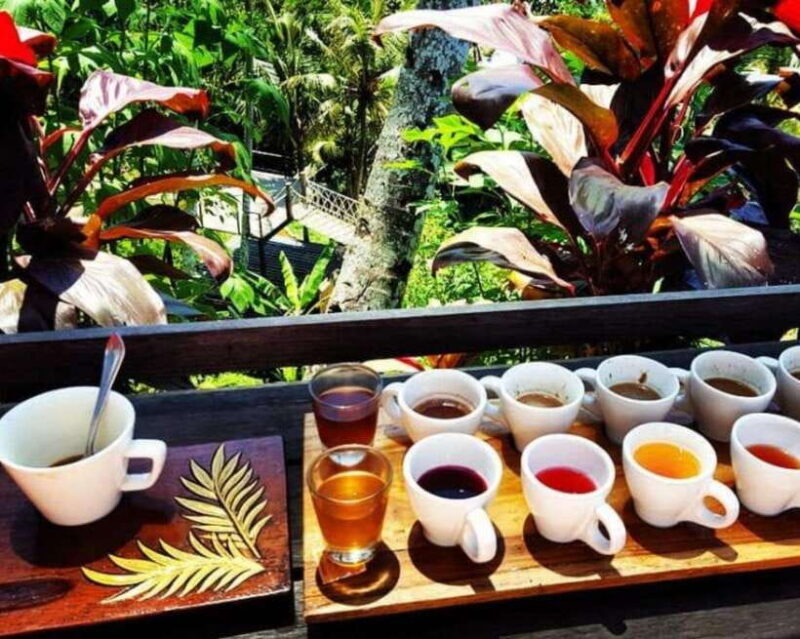 Ubud: Customised Bali Ubud Tour With Transfer - The Sum Up