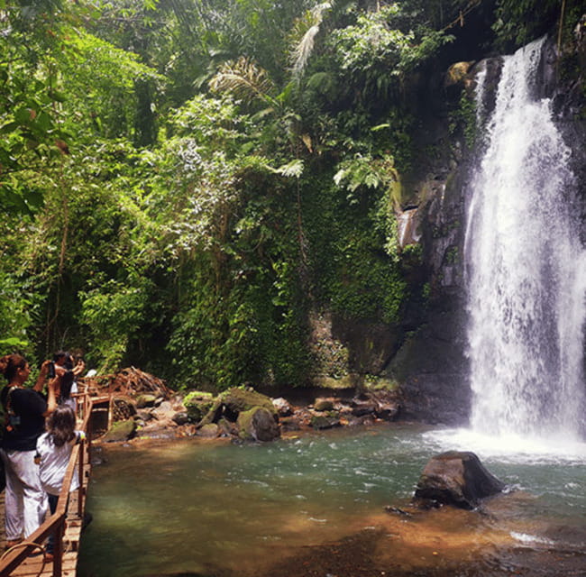 Ubud: Customised private day trip with personal driver - The Sum Up  