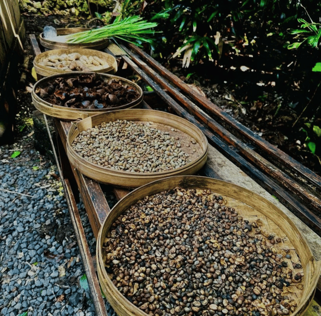 Ubud: Customised Private Full Day Tour With Personal Driver - Inclusions